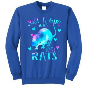 Just A Who Loves Rats Cute Rat Lover Galaxy Theme Gift Sweatshirt