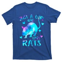 Just A Who Loves Rats Cute Rat Lover Galaxy Theme Gift T-Shirt