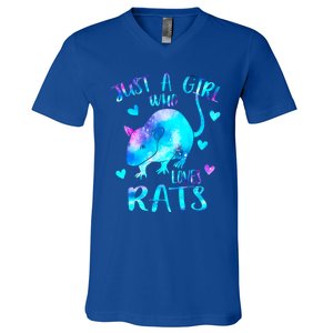 Just A Who Loves Rats Cute Rat Lover Galaxy Theme Gift V-Neck T-Shirt