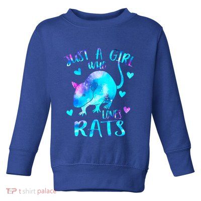 Just A Who Loves Rats Cute Rat Lover Galaxy Theme Gift Toddler Sweatshirt