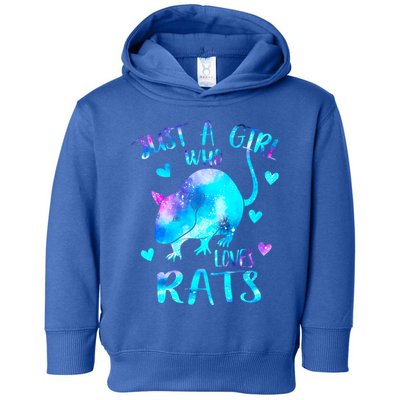 Just A Who Loves Rats Cute Rat Lover Galaxy Theme Gift Toddler Hoodie
