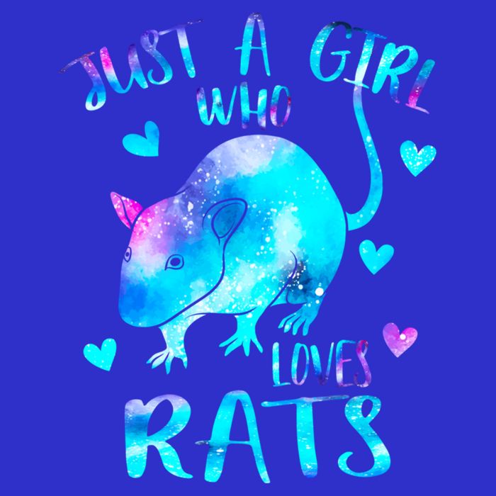 Just A Who Loves Rats Cute Rat Lover Galaxy Theme Gift Toddler Hoodie