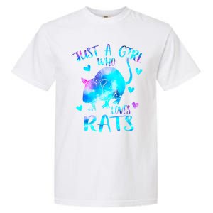 Just A Who Loves Rats Cute Rat Lover Galaxy Theme Gift Garment-Dyed Heavyweight T-Shirt