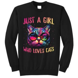 Just A  Who Loves Cats Cute Cat Lover Sweatshirt