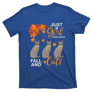 Just A Who Loves Fall And Cats – Autumn Season Kitten Funny Gift T-Shirt