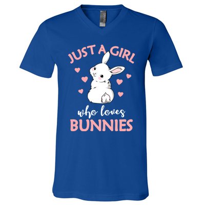 Just A Who Loves Bunnies Rabbit Gift Idea Gift V-Neck T-Shirt