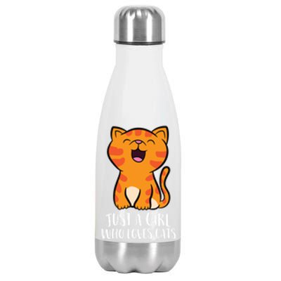 Just A Who Loves Cats Gift Stainless Steel Insulated Water Bottle