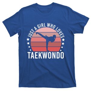 Just A Who Loves Taekwondo Gift T-Shirt