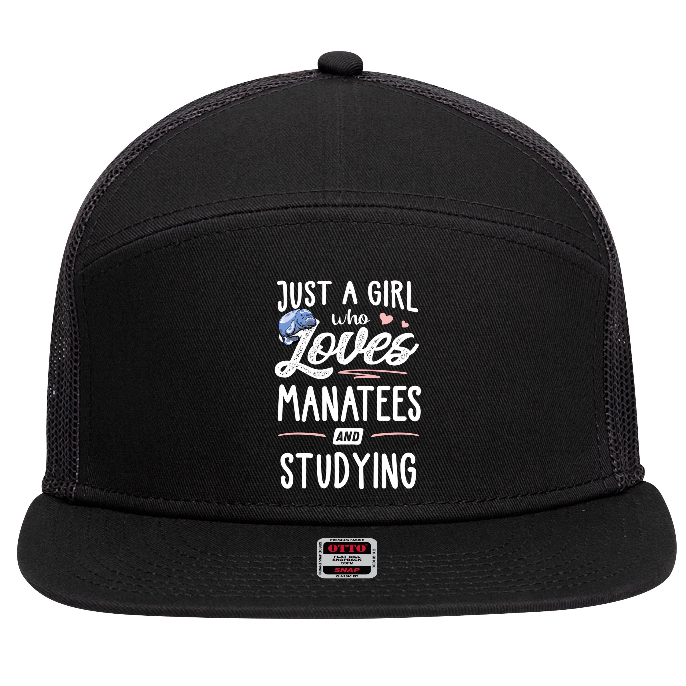 Just A Who Loves Atees And Studying Gift Funny Gift 7 Panel Mesh Trucker Snapback Hat
