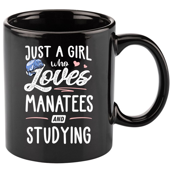 Just A Who Loves Atees And Studying Gift Funny Gift 11oz C Handle Ceramic Mug