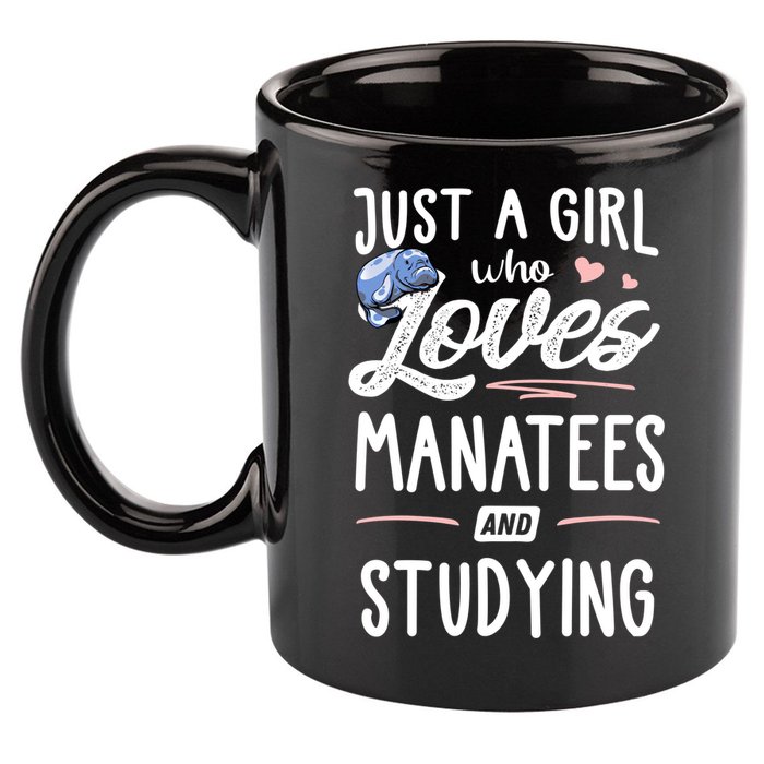 Just A Who Loves Atees And Studying Gift Funny Gift 11oz C Handle Ceramic Mug