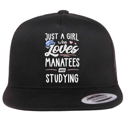 Just A Who Loves Atees And Studying Gift Funny Gift Flatbill Hat