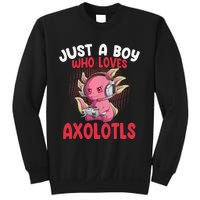 Just a  Who Loves Axolotls Funny Axolotl Gamer Sweatshirt