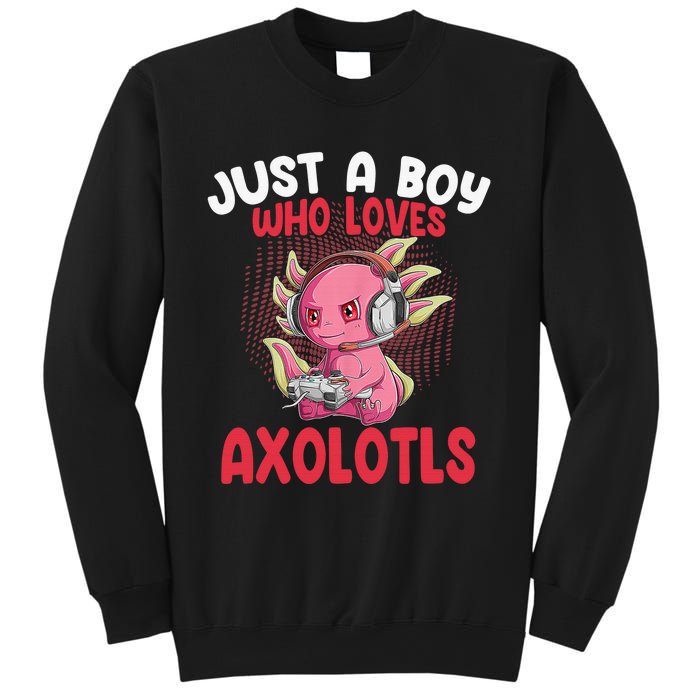 Just a  Who Loves Axolotls Funny Axolotl Gamer Sweatshirt