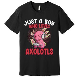 Just a  Who Loves Axolotls Funny Axolotl Gamer Premium T-Shirt