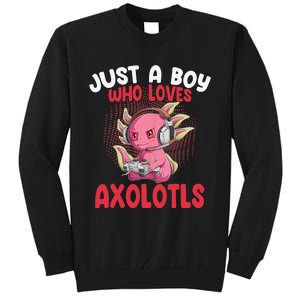 Just a  Who Loves Axolotls Funny Axolotl Gamer Tall Sweatshirt