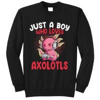 Just a  Who Loves Axolotls Funny Axolotl Gamer Tall Sweatshirt