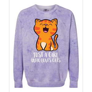 Just A Who Loves Cats Gift Colorblast Crewneck Sweatshirt