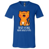 Just A Who Loves Cats Gift V-Neck T-Shirt