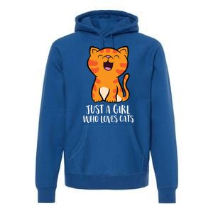 Just A Who Loves Cats Gift Premium Hoodie