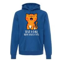 Just A Who Loves Cats Gift Premium Hoodie