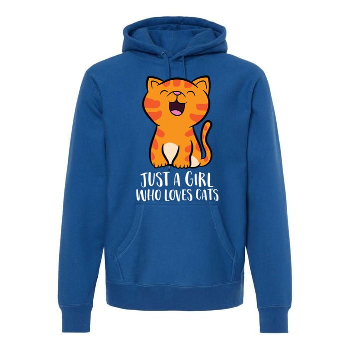 Just A Who Loves Cats Gift Premium Hoodie