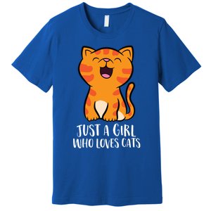 Just A Who Loves Cats Gift Premium T-Shirt