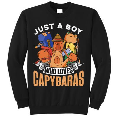 Just A  Who Loves Capybaras Animal Rodent Capybara Lover  Sweatshirt