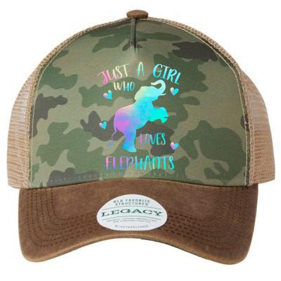 Just A Who Loves Elephants Watercolor Elephant Love Gift Legacy Tie Dye Trucker Hat