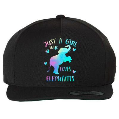 Just A Who Loves Elephants Watercolor Elephant Love Gift Wool Snapback Cap