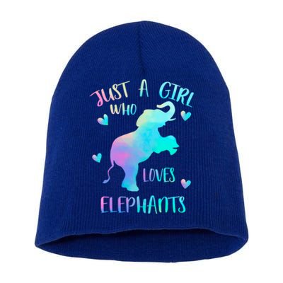 Just A Who Loves Elephants Watercolor Elephant Love Gift Short Acrylic Beanie