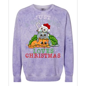 Just A Who Loves Christmas Funny Xmas Cats Lights Funny Gift Cool Gift Colorblast Crewneck Sweatshirt