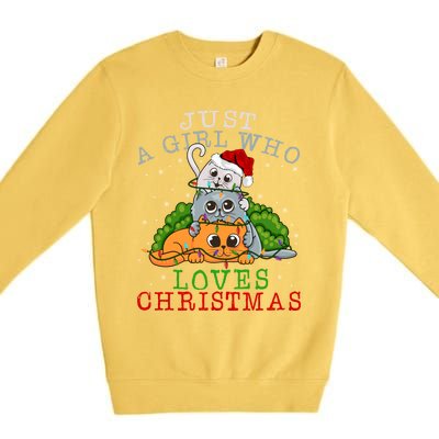 Just A Who Loves Christmas Funny Xmas Cats Lights Funny Gift Cool Gift Premium Crewneck Sweatshirt