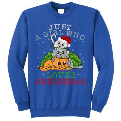 Just A Who Loves Christmas Funny Xmas Cats Lights Funny Gift Cool Gift Sweatshirt