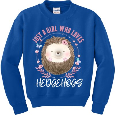 Just A Who Loves Hedgehogs Forest Animal Cute Hedgehog Gift Kids Sweatshirt