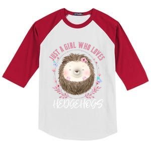 Just A Who Loves Hedgehogs Forest Animal Cute Hedgehog Gift Kids Colorblock Raglan Jersey