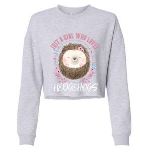 Just A Who Loves Hedgehogs Forest Animal Cute Hedgehog Gift Cropped Pullover Crew