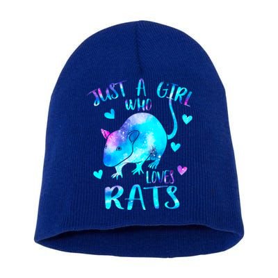 Just A Who Loves Rats Cute Rat Lover Galaxy Theme Meaningful Gift Short Acrylic Beanie