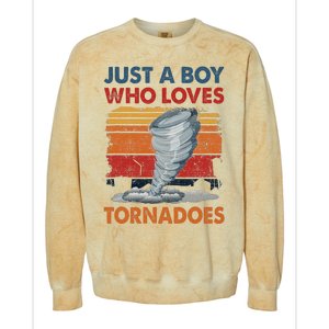 Just A Who Loves Tornado Colorblast Crewneck Sweatshirt