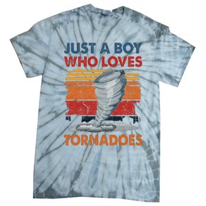 Just A Who Loves Tornado Tie-Dye T-Shirt