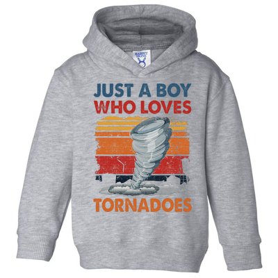 Just A Who Loves Tornado Toddler Hoodie