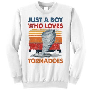 Just A Who Loves Tornado Sweatshirt