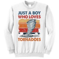 Just A Who Loves Tornado Sweatshirt