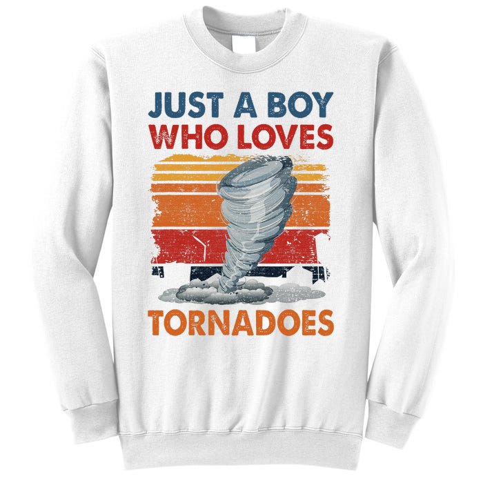 Just A Who Loves Tornado Sweatshirt