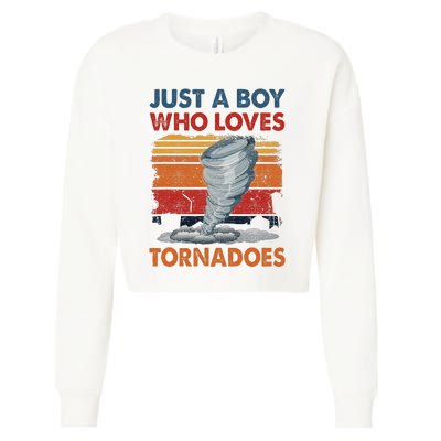 Just A Who Loves Tornado Cropped Pullover Crew