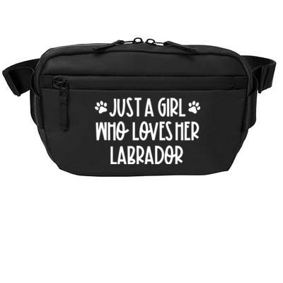 Just A Who Loves Her Labrador Dog Mom Labrador Lovers Gift Crossbody Pack