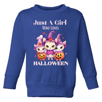 Just A Who Loves Halloween Cute Cat Pumpkin Gift Toddler Sweatshirt