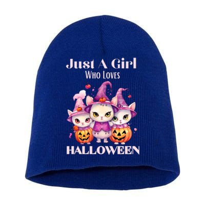 Just A Who Loves Halloween Cute Cat Pumpkin Gift Short Acrylic Beanie