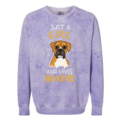 Just A Who Loves Boxers Dog School Gift Colorblast Crewneck Sweatshirt