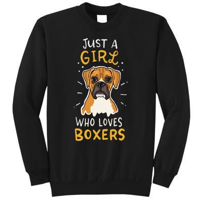 Just A Who Loves Boxers Dog School Gift Sweatshirt